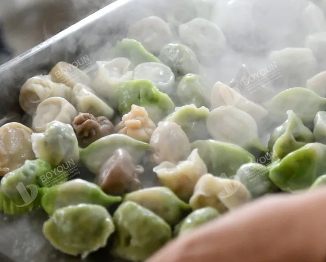 Boyoun Winter solstiactivity (en inglés)